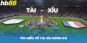 Khái quát thông tin tài xỉu bóng đá và khái niệm